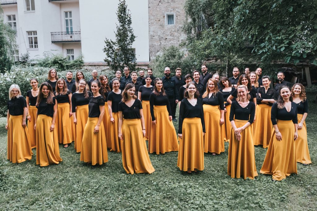 Oriolus Foto Haydneum 2024
