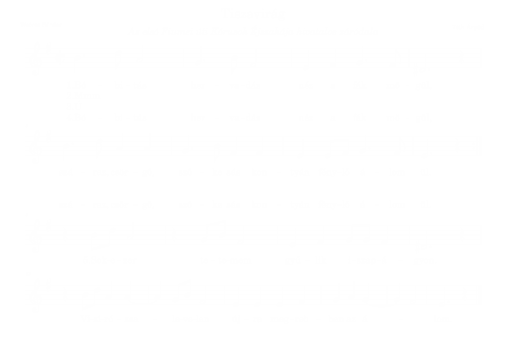 Tiszavirágközönség 1 White