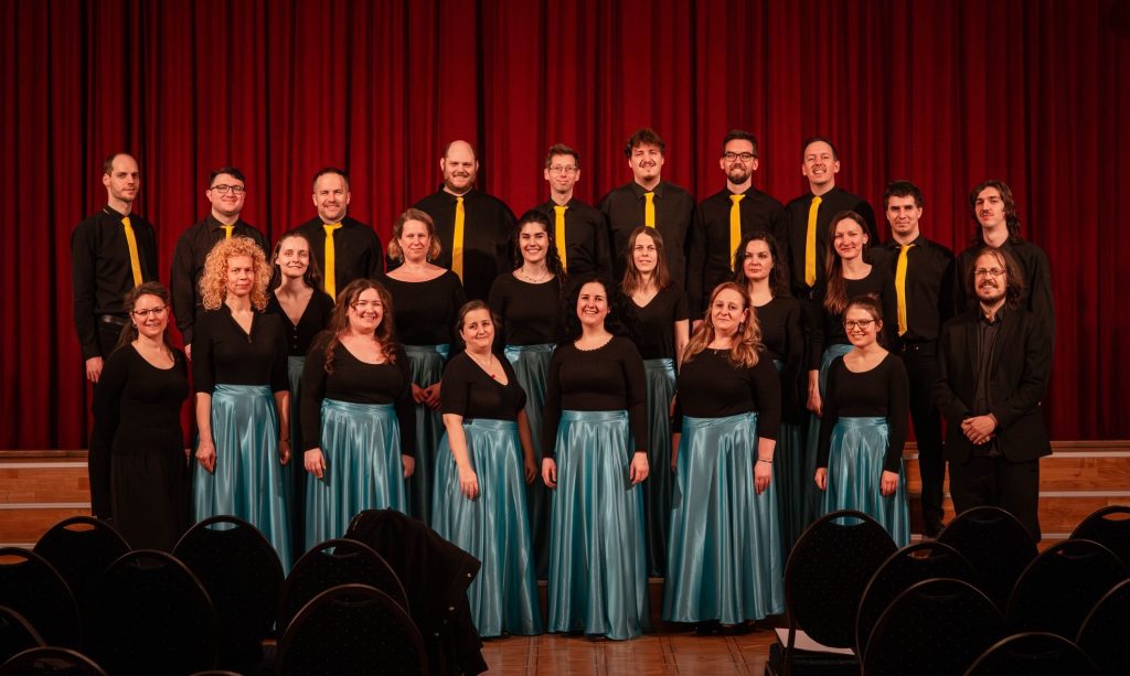 Vox Insana Varga Vince